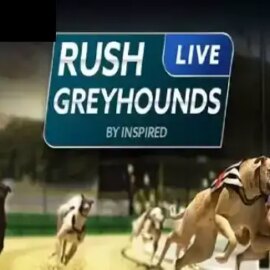 Rush Greyhounds Live