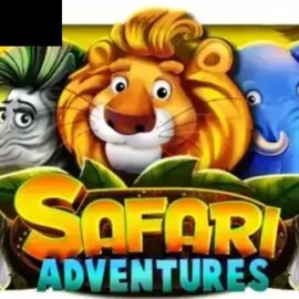 Safari Adventures
