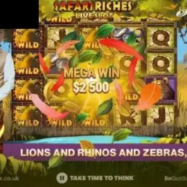 Safari Riches Live