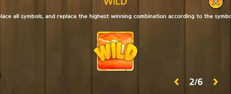 Safari Run