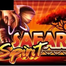 Safari Spirit