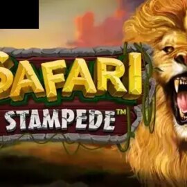 Safari Stampede