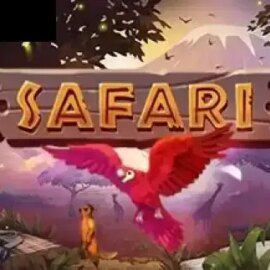 Safari (X Play)
