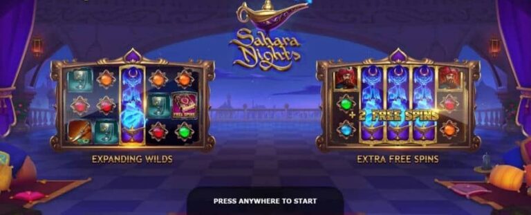 Sahara Nights