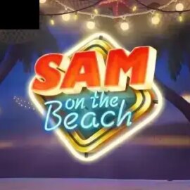 Sam on the Beach