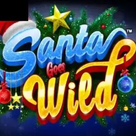 Santa Goes Wild