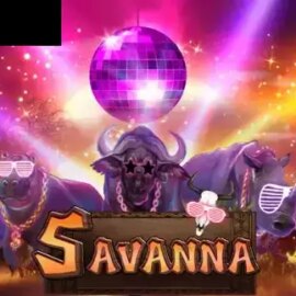 Savanna