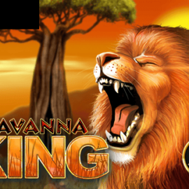 Savanna King XL