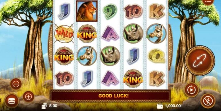 Savanna King XL