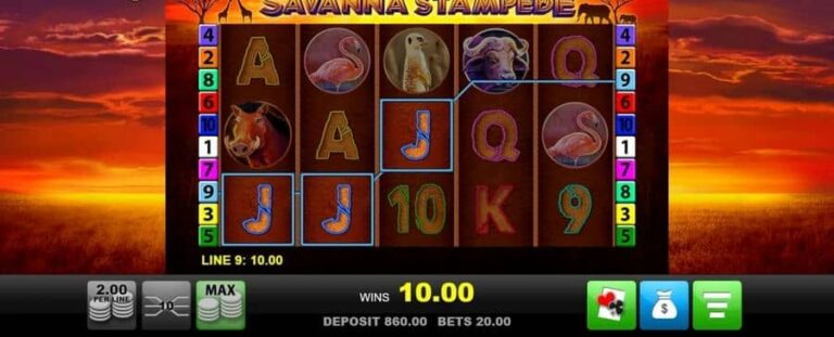 Savanna Stampede