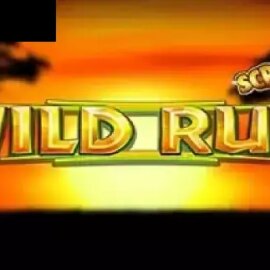 Scratch WIld Run