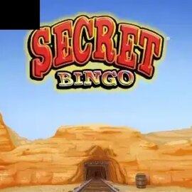 Secret Bingo