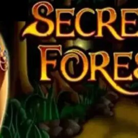 Secret Forest