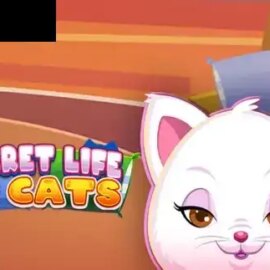 Secret Life of Cats