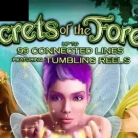 Secrets Of The Forest