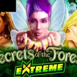 Secrets of the Forest Extreme