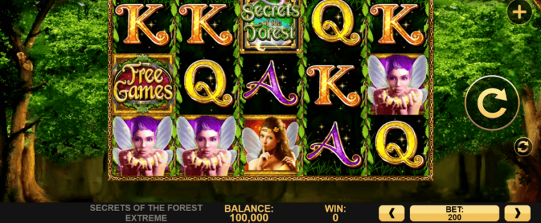 Secrets of the Forest Extreme