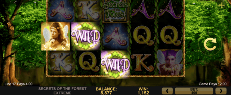 Secrets of the Forest Extreme