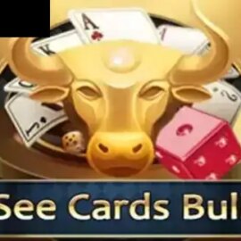 See Cards Bull KX