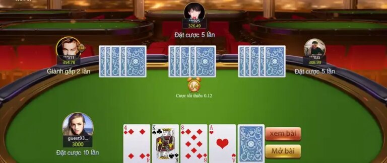 See Cards Bull V8