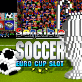 Sensible Soccer: Euro Cup