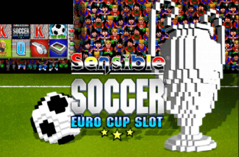 Sensible Soccer: Euro Cup