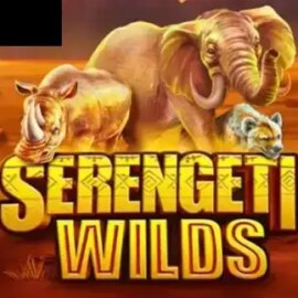 Serengeti Wilds
