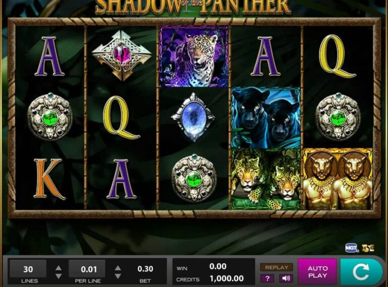 Shadow of the Panther