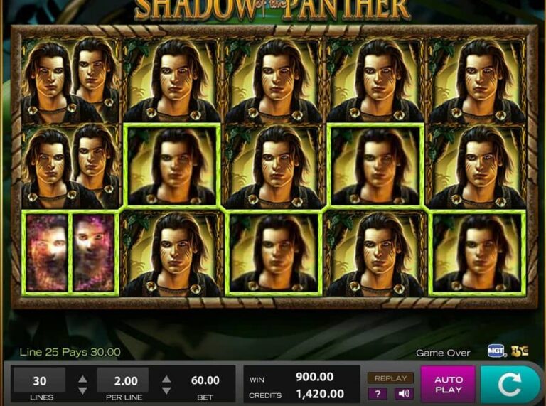 Shadow of the Panther