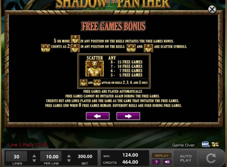 Shadow of the Panther