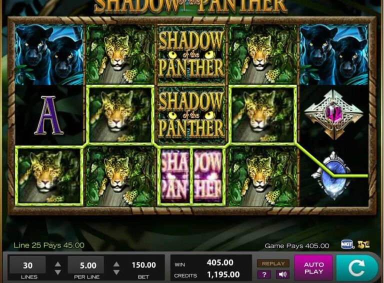 Shadow of the Panther
