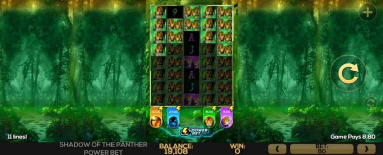 Shadow of the Panther Power Bet