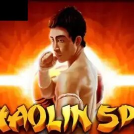 Shaolin Spin