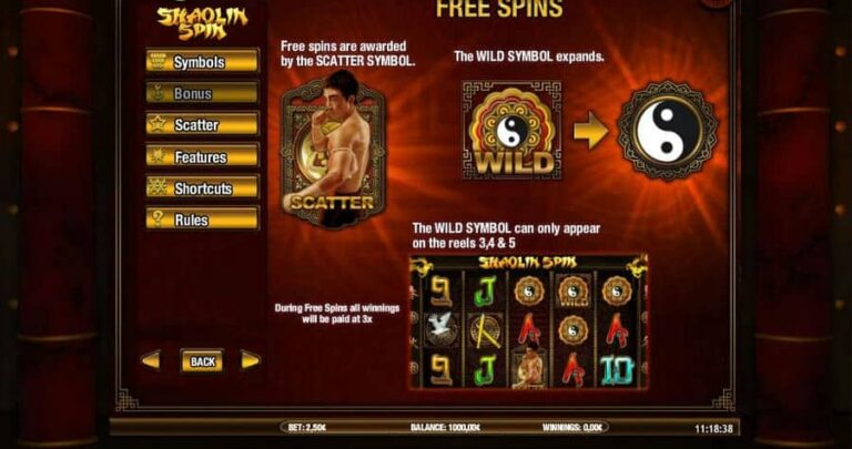Shaolin Spin