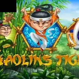Shaolin Tiger
