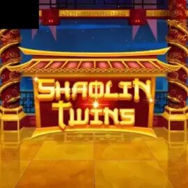 Shaolin Twins
