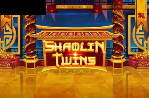 Shaolin Twins