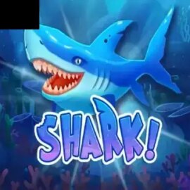 Shark!