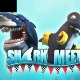 Shark Meet