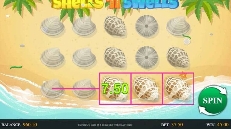 Shells ‘n Swells