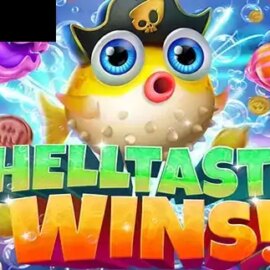 Shelltastic Wins