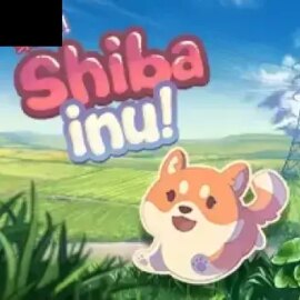 Shiba Inu
