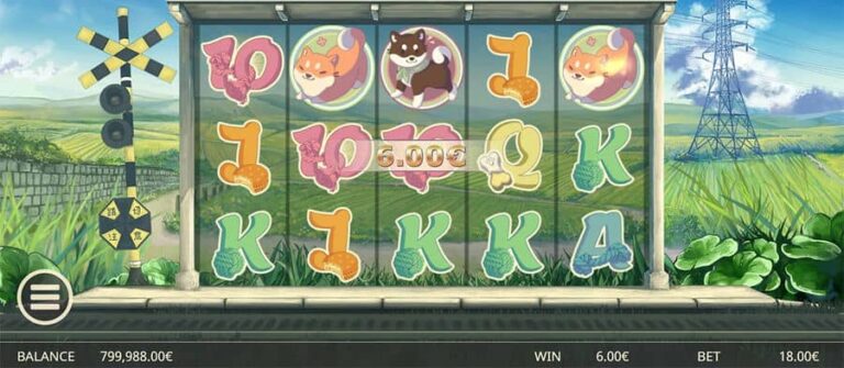 Shiba Inu
