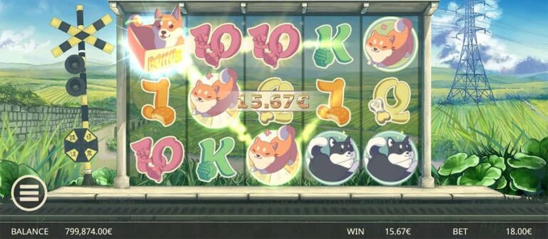 Shiba Inu