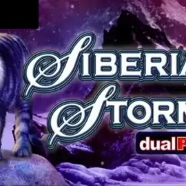 Siberian Storm Dual Play