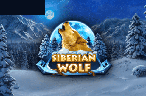 Siberian Wolf