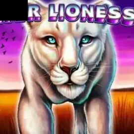 Silver Lioness 4x