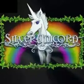 Silver Unicorn