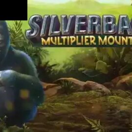 Silverback: Multiplier Mountain