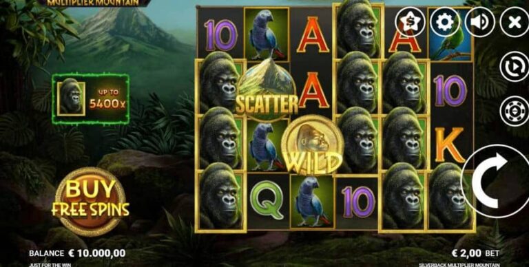 Silverback: Multiplier Mountain